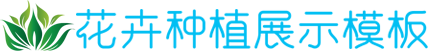德信登录网站,德信app官方入口